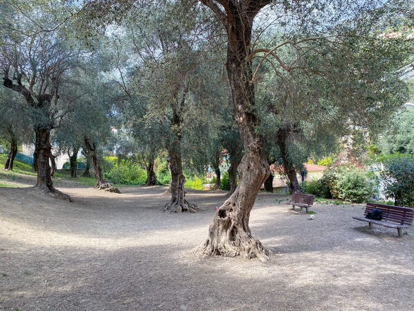 Terrein van de accommodatie