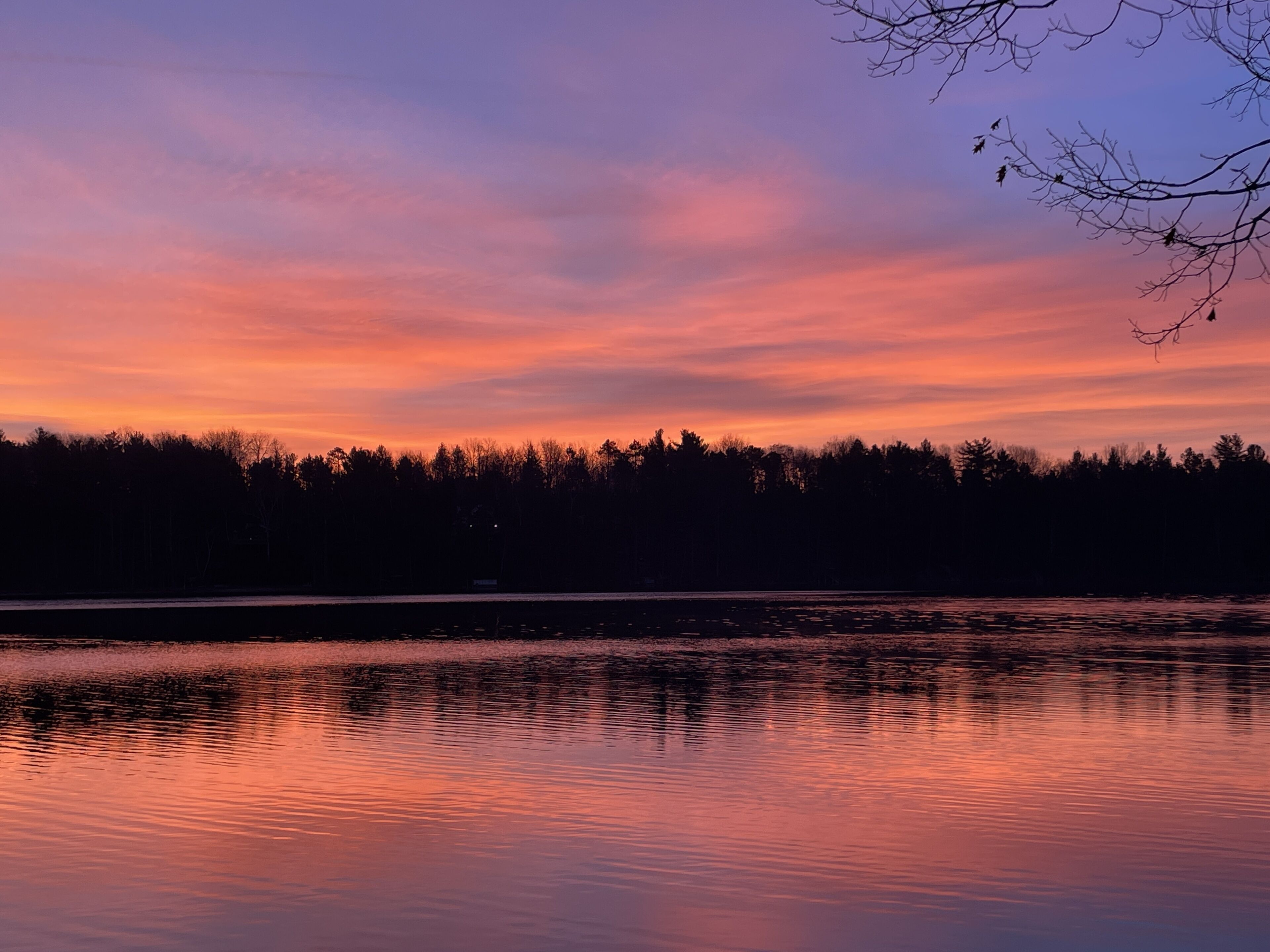 A calm lake at sunset with a forest in the background.