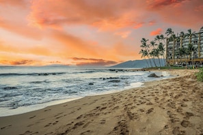 A beach with footprints, palm trees, and a building in the background. - 101 - 2 bed/2 bath with A/C! Ground Floor Oceanfront with Breathtaking Views! (Kihei)