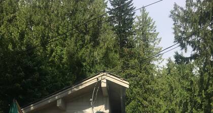 The Lookout Is A Cozy Cabin At Blind Bay Hideaway On The Beautiful Sunny Shuswap