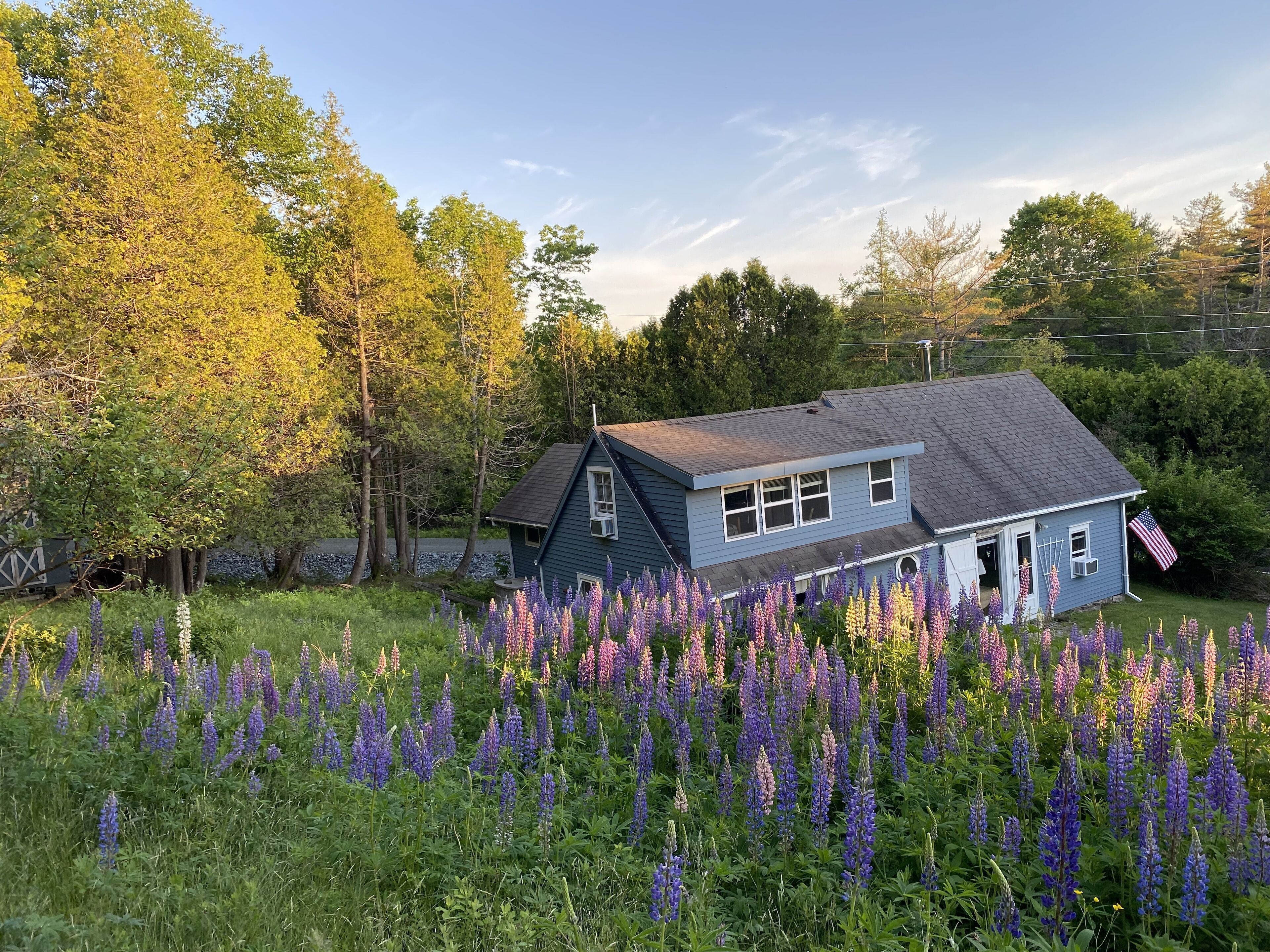 Franca's Place - A Historic Cottage - Mount Desert Island Maine