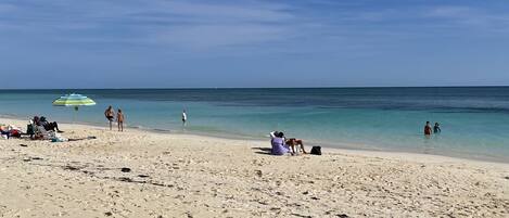 Sun-loungers, beach towels