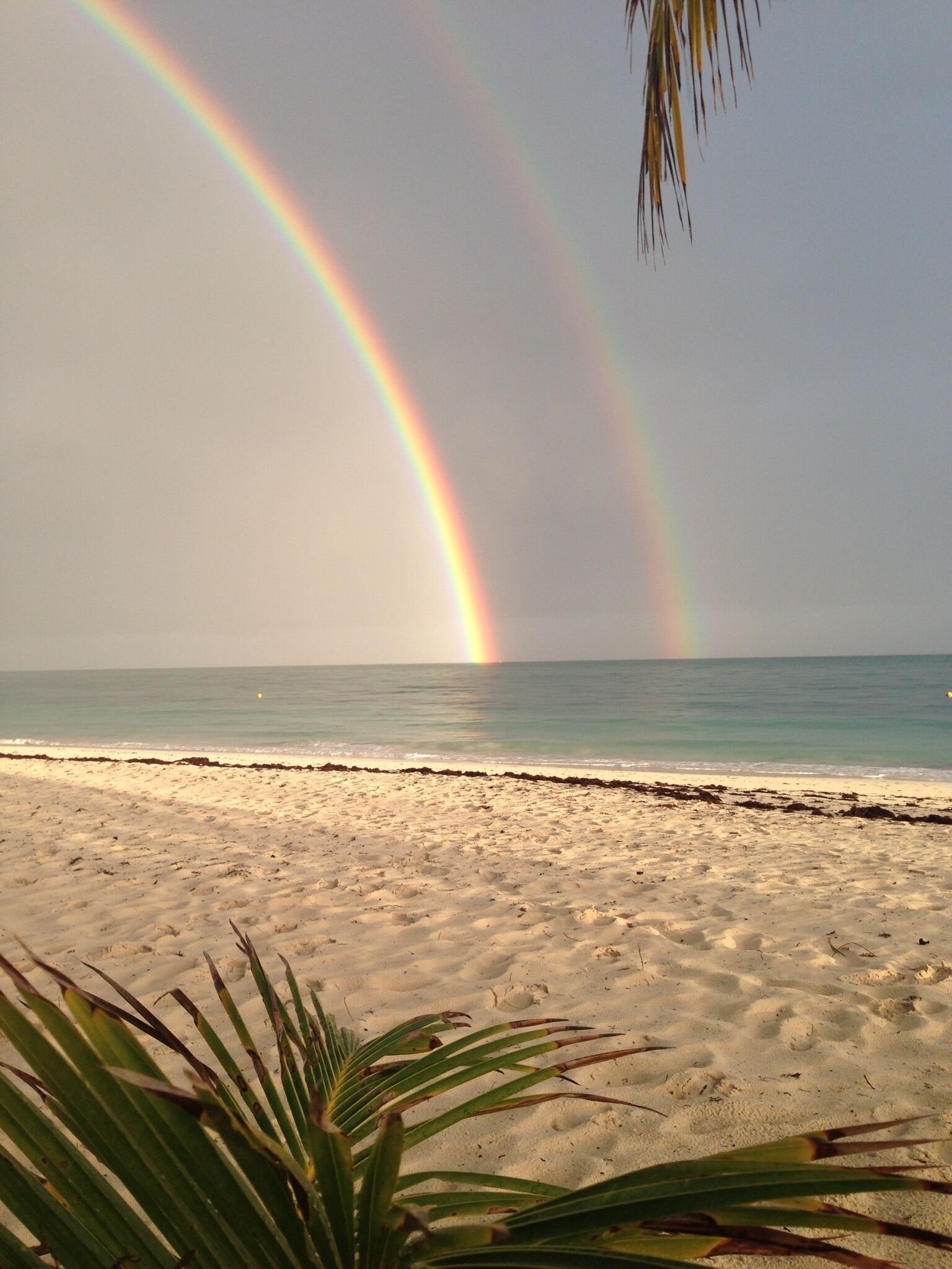 Sun loungers, beach towels