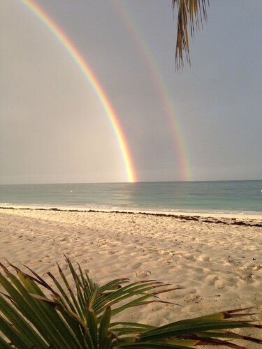 Magnificent beach front condo with pool and restaurant/bar