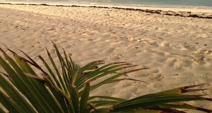 Magnificent beach front condo with pool and restaurant/bar
