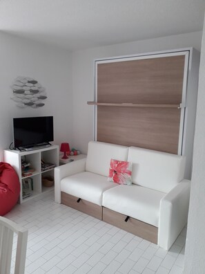 TV, livros