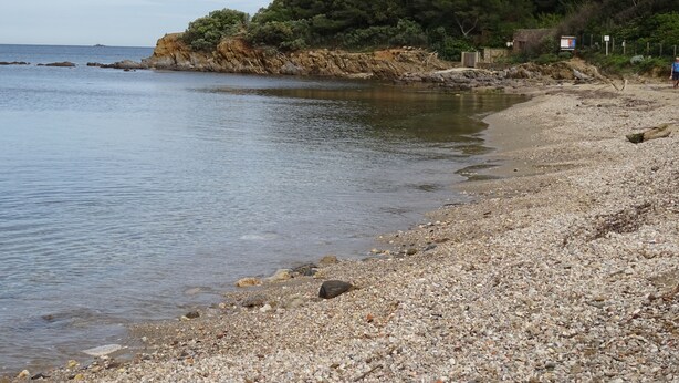 A pebbled beach with a rocky shoreline and dense forest in the background.