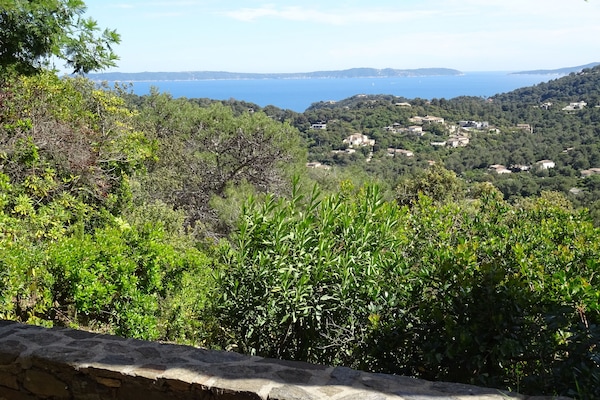 施設からの眺望