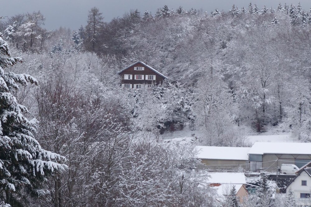 Cozy cottage 6 bedrooms in the volcano park of Auvergne