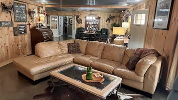 TV connectée, cheminée, lecteur de DVD, livres