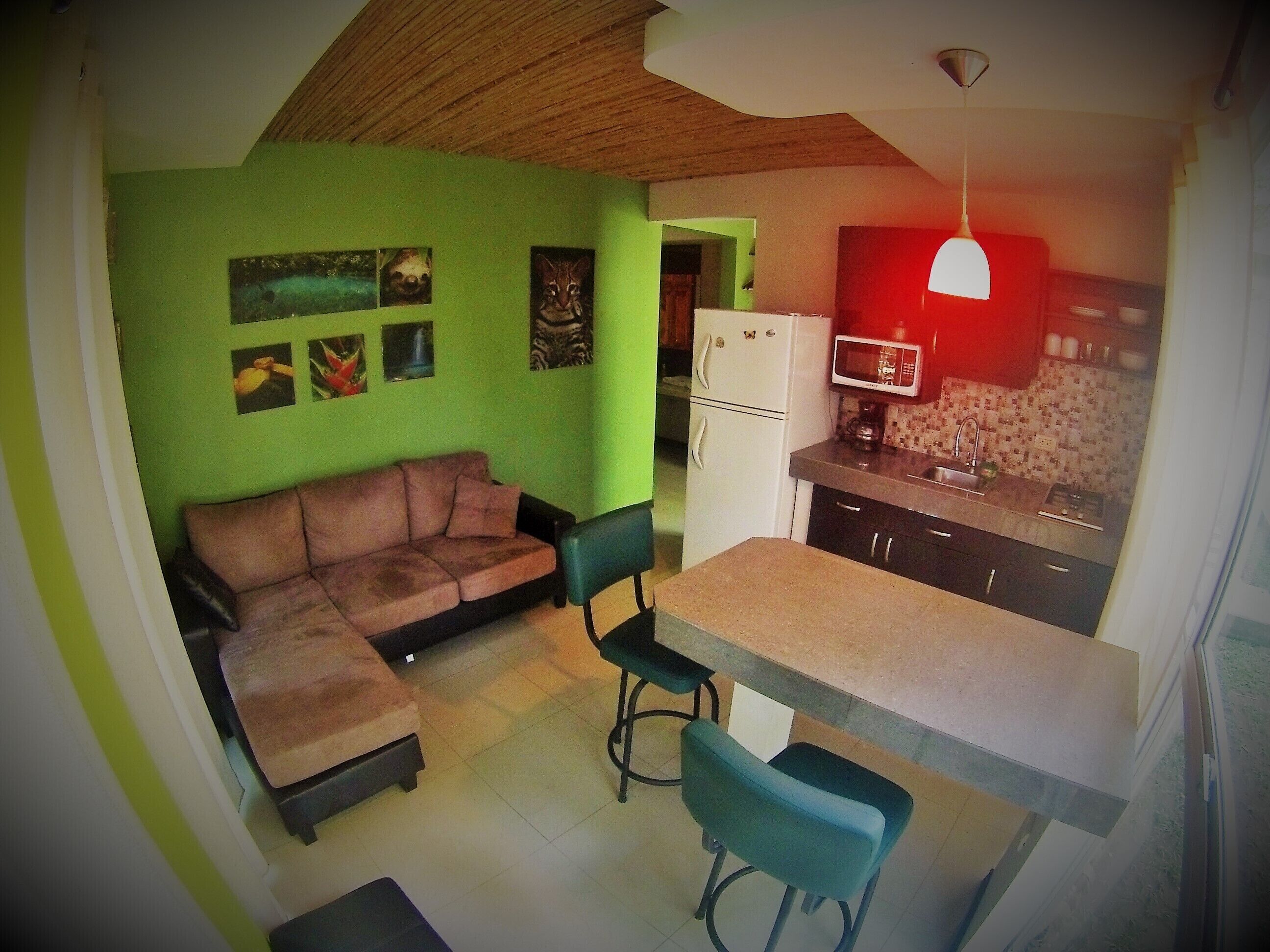 Pool, Sauna, Hot Tub, Fruit Trees, Lush Gardens