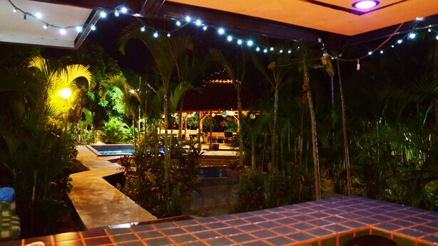 An outdoor area with a pool, palm trees, and string lights. - Pool, Sauna, Hot Tub, Fruit Trees, Lush Gardens (Atenas)