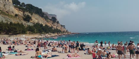 Nära stranden