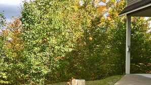An outdoor fire feature with a rectangular metal basin and a central fire, surrounded by wooden stumps. - Sunday River Ski In Ski Out Locke Mountain condo with Pool Jacuzzi (Newry)