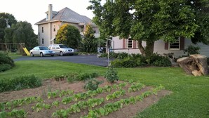 A residential area with a house, a driveway, parked cars, and a garden with young plants.