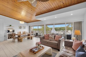 TV, DVD player, ping pong, books