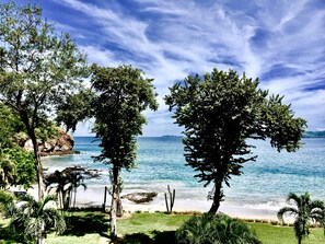 A beach with trees and a clear view of the sea.