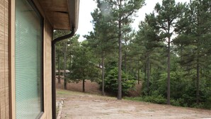 Une vue depuis un balcon donnant sur une zone boisée, avec un bâtiment en arrière-plan.