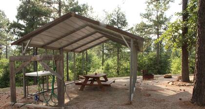 Crosscut Cabins- Minutes from Lake, River, & Diamond Mine! Private Hiking Trail!