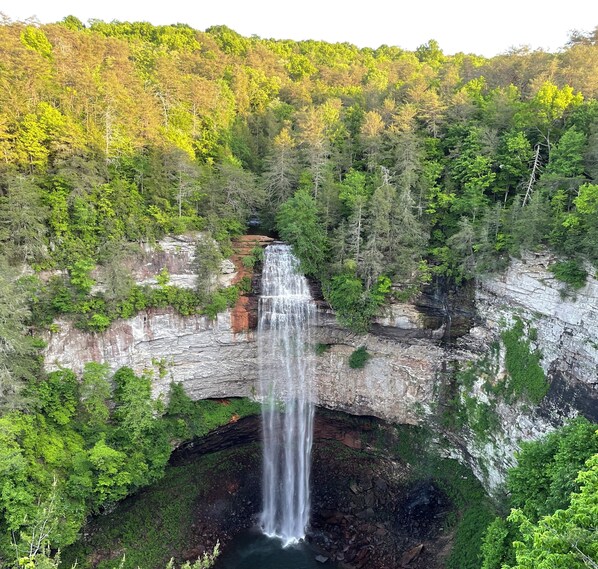 A waterfall cascading down a rocky cliff surrounded by dense forest.