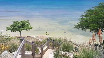 Plage à proximité, chaises longues, serviettes de plage