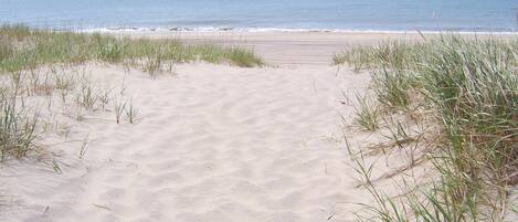 In Strandnähe