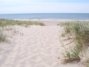 Plage à proximité