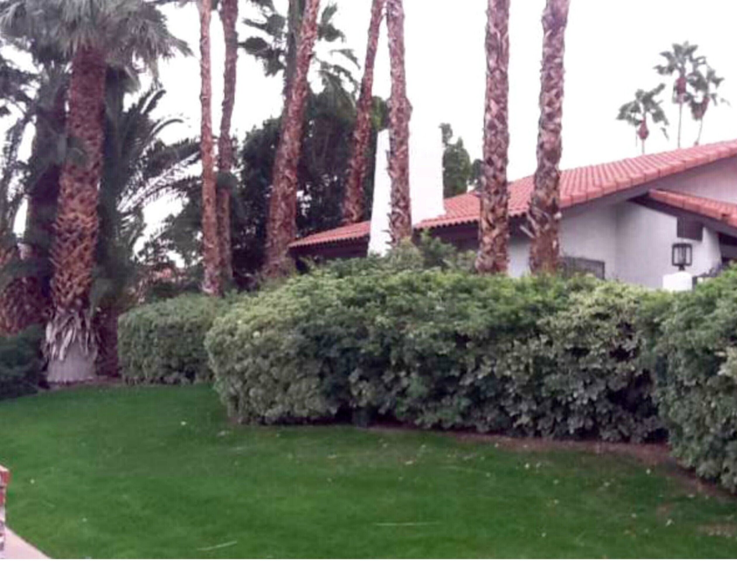 Great Location, Super Comfortable, Upgraded South Palm Desert Home!