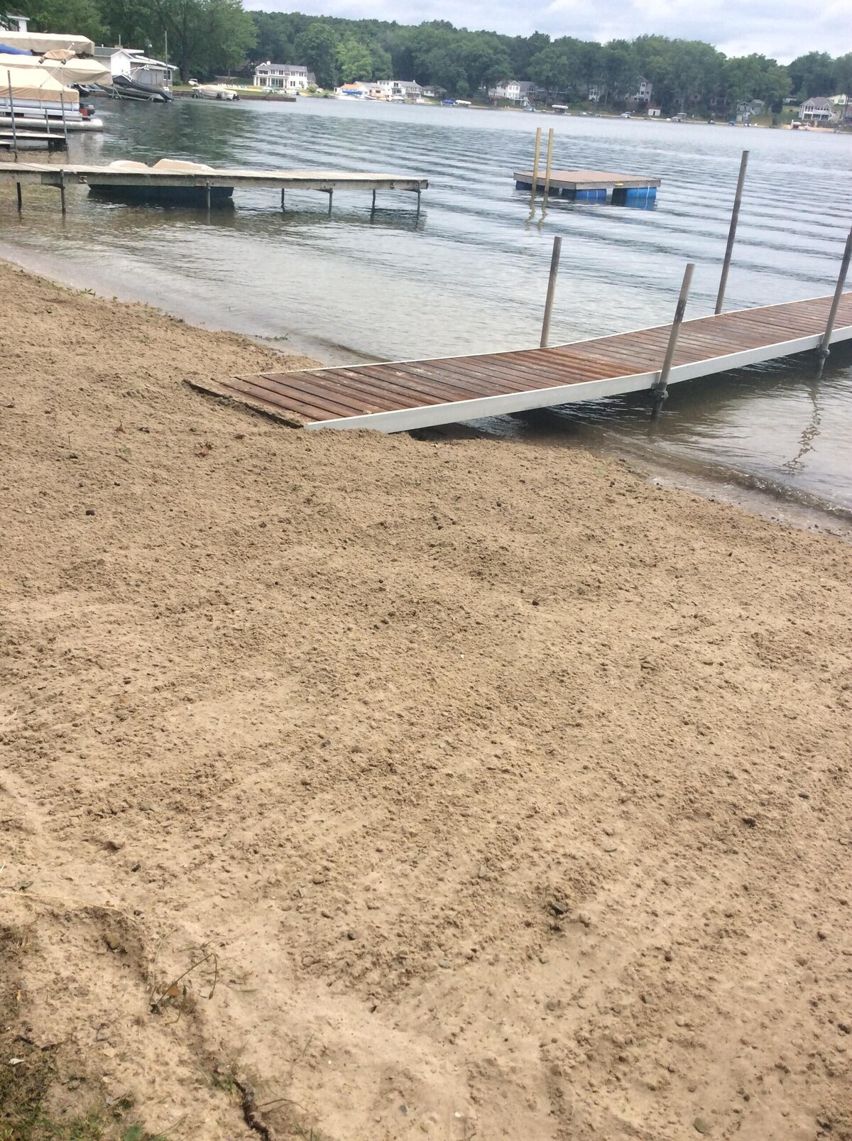 Imagen de perfil del propietario o de la propietaria