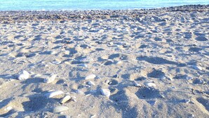 A sandy beach with scattered rocks and pebbles. - Private villa in exclusive area, with pool, tennis and direct  access to beach (Marbella)