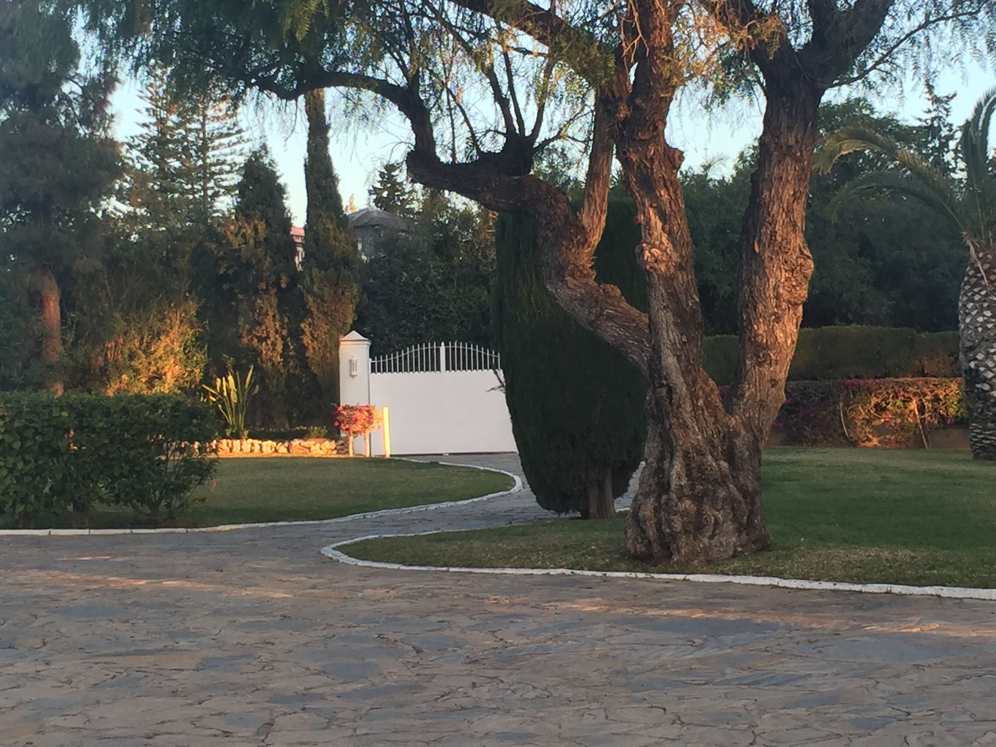 A paved pathway leading to a white building with a gated entrance, surrounded by trees and well-maintained grass.