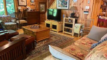 TV, video games, DVD player, stereo
