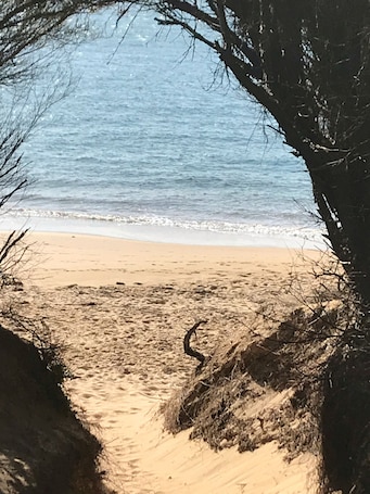 Beach nearby. Cherub Cottage - quiet romantic getaway. Wifi & Disney