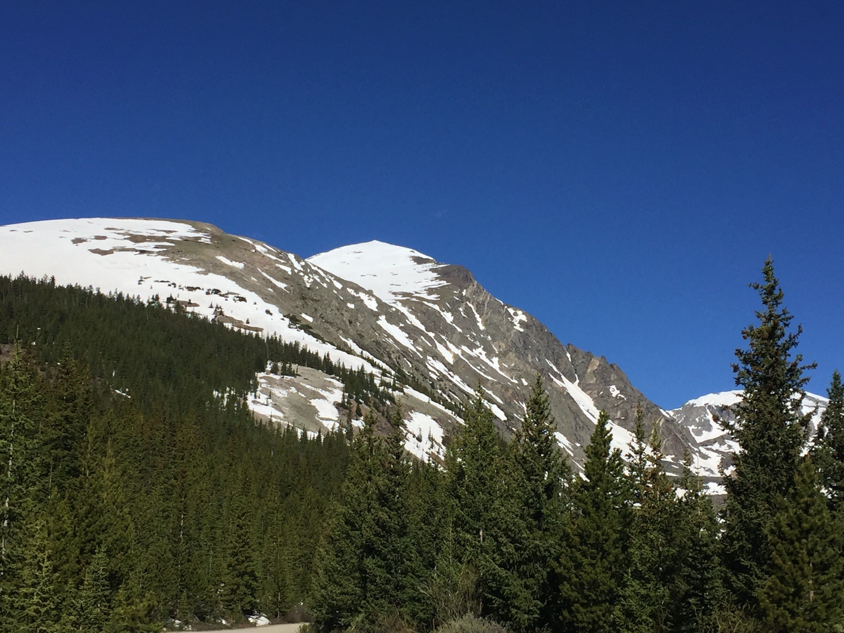 A mountain landscape with snow-capped peaks, dense forest, and clear blue sky.