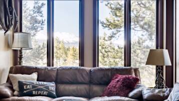 智能电视、壁炉、DVD 播放器、书