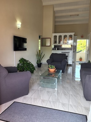 Amplia sala de estar con sofá, una mesa de centro y televisor. Se observan plantas en macetas y una cocina al fondo.
