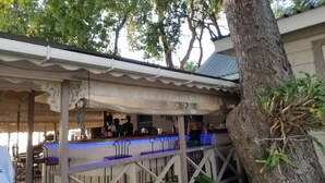 Een buitengebied met een bar, een overdekte zithoek, een boom en een metalen hekwerk.