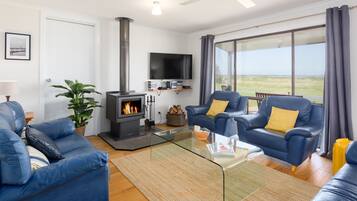 Smart-tv, eldstad, dvd-spelare och böcker