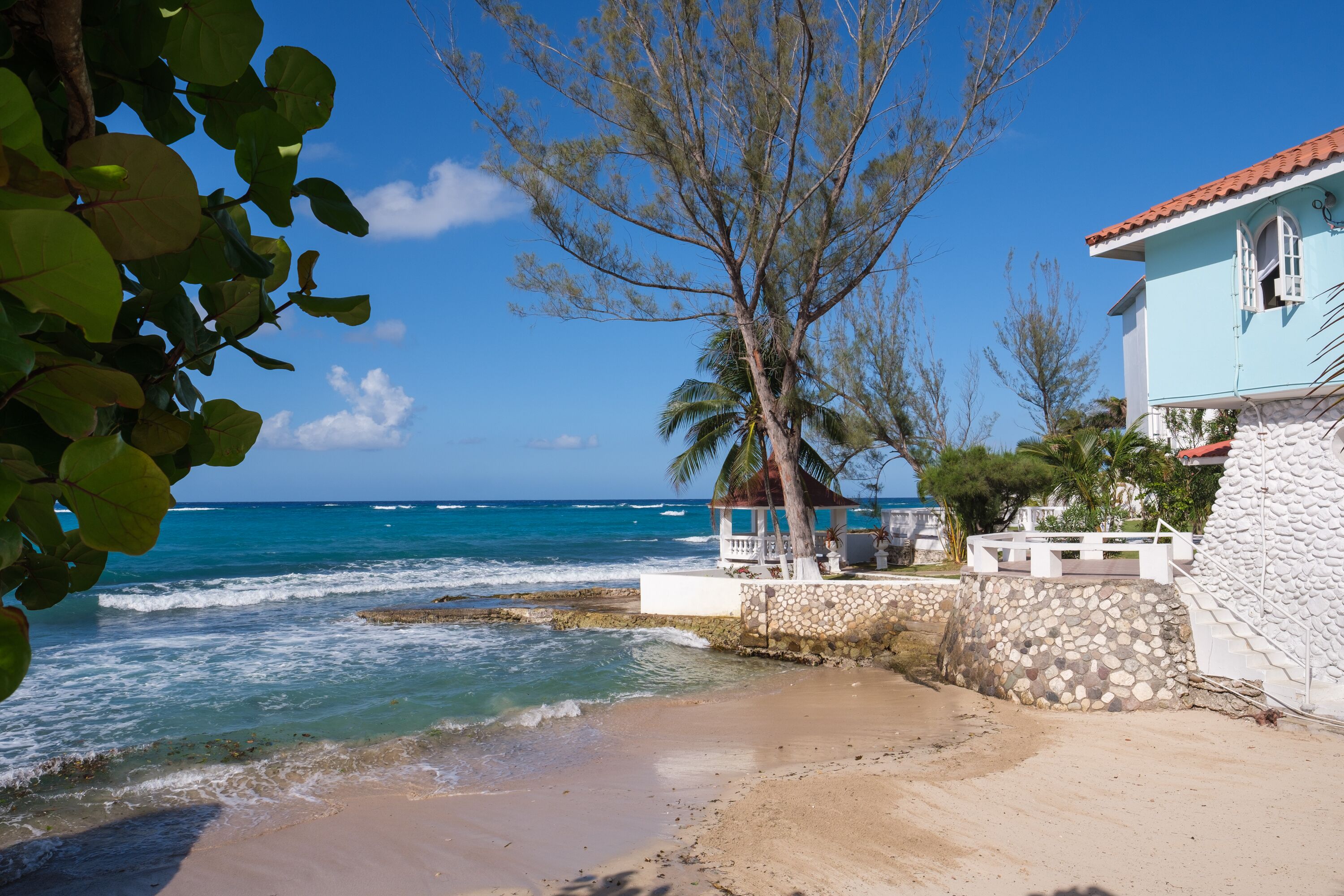 A beachfront property with a stone wall, a palm tree, and a clear view of the ocean.