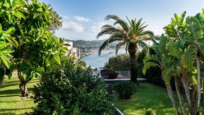 Un exuberante jardín con una palmera y plantas de banano, un césped bien cuidado y vista a un pueblo costero al otro lado del agua.