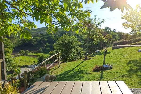 Property grounds - Nature in its purest state ... (Casais de Vide)