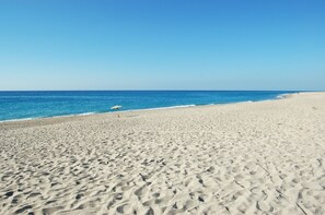 Nära stranden