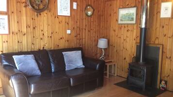 TV, fireplace, DVD player, books