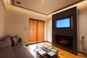 LED TV, fireplace, books, printers