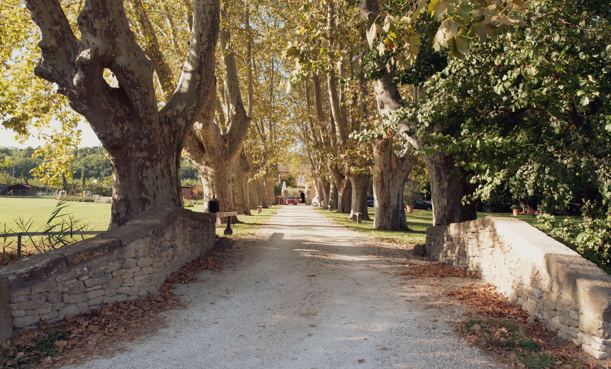 Terrein van de accommodatie