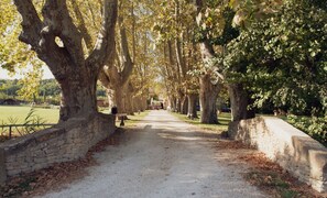 Overnatningsstedets område