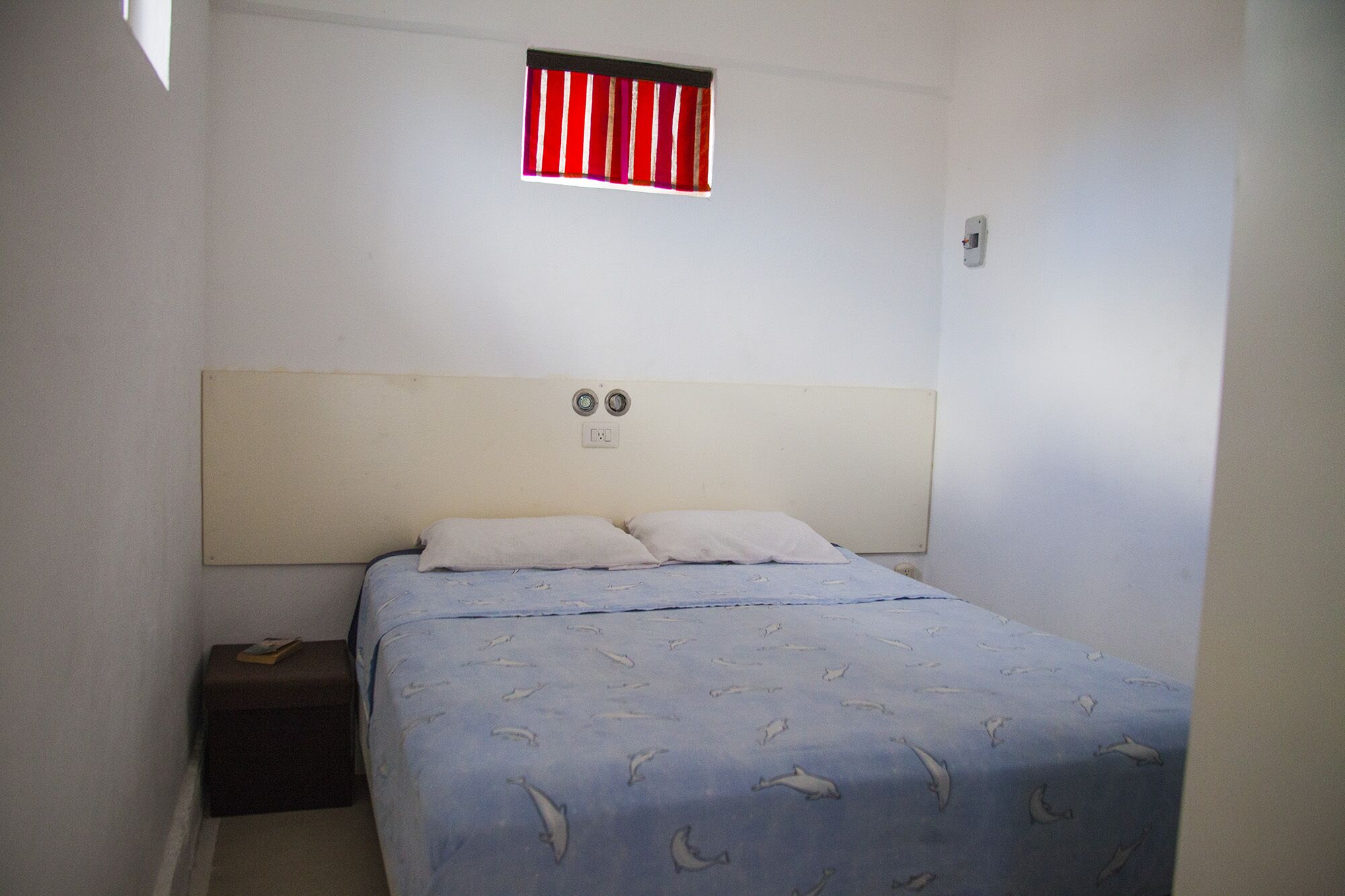 PET FRIENDLY Apartment to rent, newly renovated !