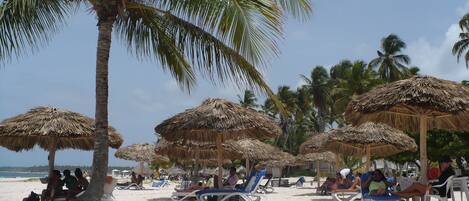 Sun-loungers, beach towels