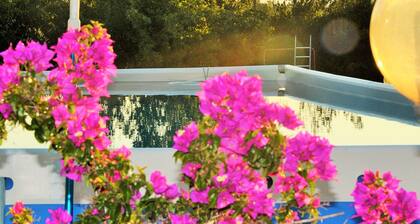 Villaial, récente, avec piscine, entourée de verdure au milieu des oliviers