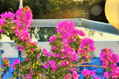 Villaial, recent, with swimming pool, surrounded by greenery among olive trees